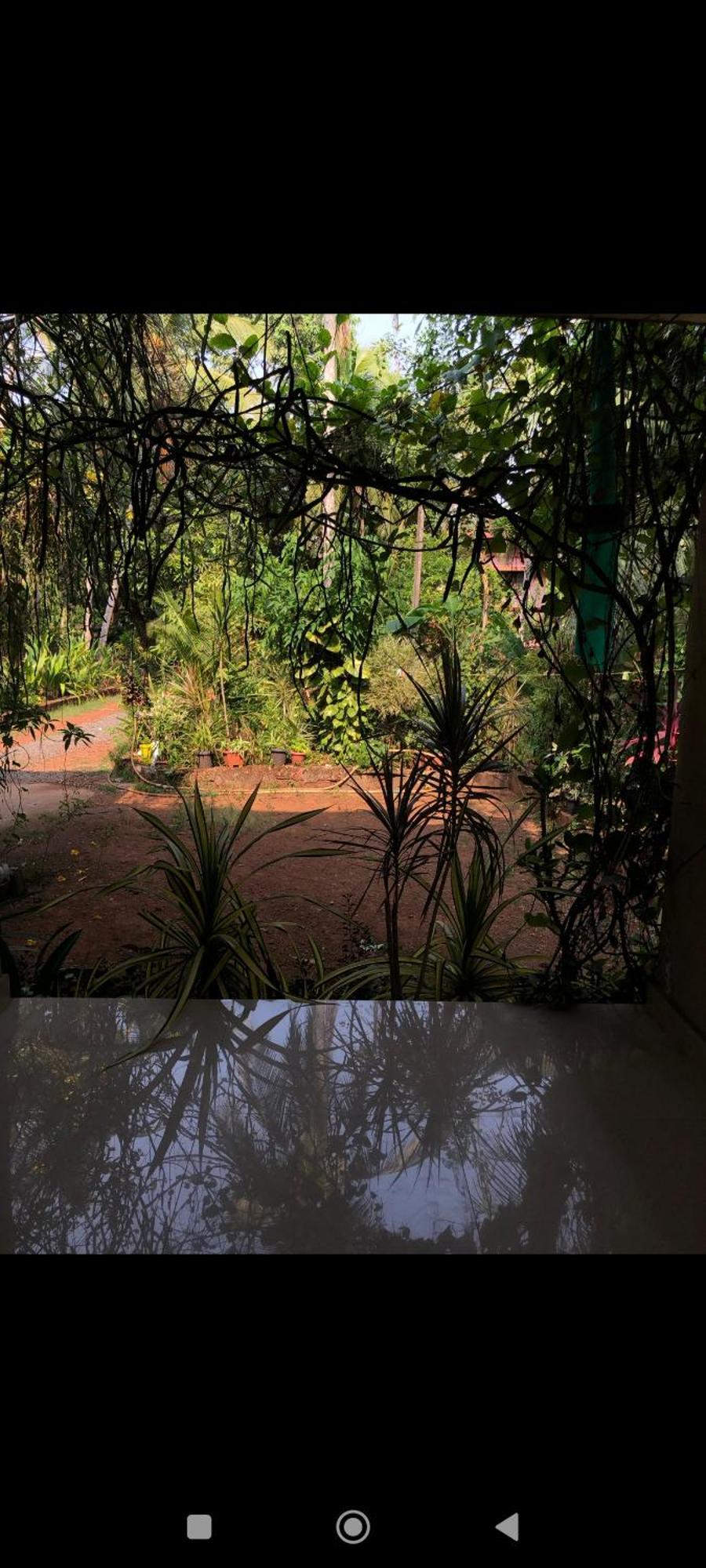 Narayanalayam-Vintage Retreat-Homestay & Rest'Inn カンヌール エクステリア 写真